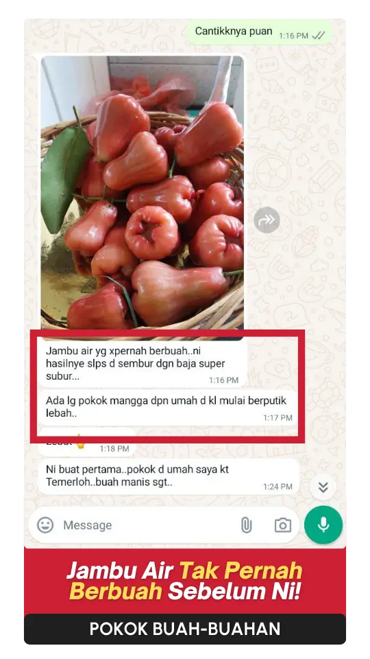 Testimoni-Buah-2.webp